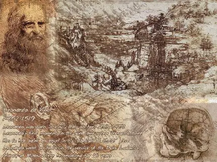 گلچینی از آثار هنری لئوناردو داوینچی مشهور ترین نقاش ایتالیایی 