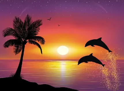 عکس منظره پرش دلفین ها در غروب dolphin jump in sunset