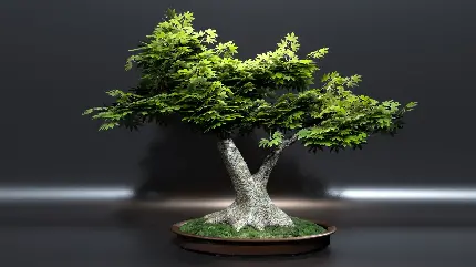 چاپ پوستر عکس شیک و لوکس بونسای افرا با برگ های سبز با کیفیت بالا 