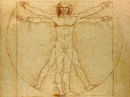 مرد ویترویوسی اثر لئوناردو داوینچی اثر مردی احاطه شده در دایره و مربع