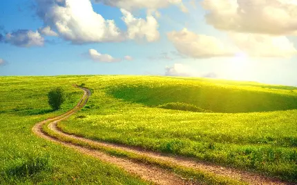 عکس چمن برای فتوشاپ