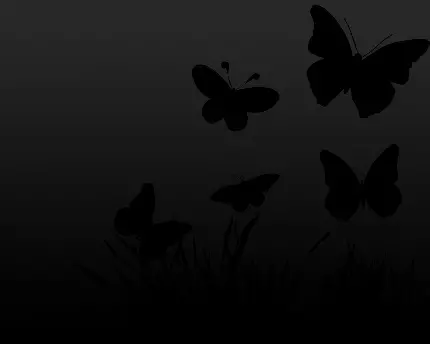 والپیپر فوق العاده قشنگ از پروانه سیاه با کیفیت بالا 