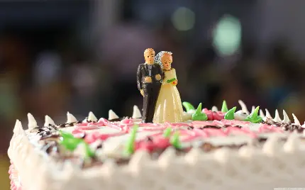 عکس استوک ناز کیک عروسی با تزئینات عروسکی عروس و داماد