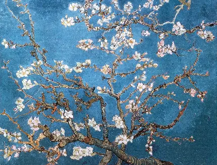 نقاشی زیبا و دیدنی شکوفه های بادام اثر نقاش بزرگ و معروف به اسم ونسان ون گوگ