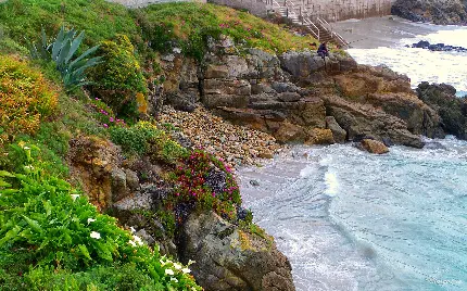 تصویر پروفایل صخره های سرسبز و خفن کنار دریا برای باکلاس ها