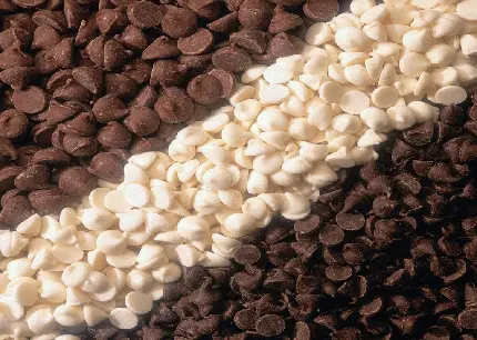 تصویر شکلات چیپسی سیاه و سفید برای فضای ویندوز 11