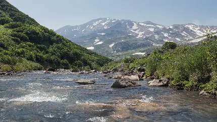 دانلود تصویر زیبا و دلنواز رودخانه کوهستان و جنگل سرسبز 