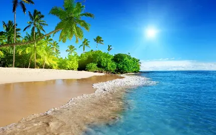 عکس پروفایل از جزیره مالدیو با زمینه درختان استوایی