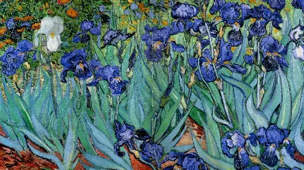 دانلود رایگان و با کیفیت نقاشی ونسان ون گوگ به نام گل های زنبق 