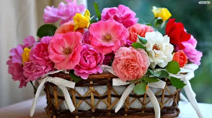 عکس پروفایل دسته گل با گل های عاشقانه و زیبا برای واتساپ و شاد