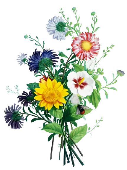 فایل png دوربری شده دسته گل های دیجیتالی بصورت ترانسپرنت