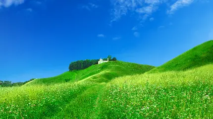 دریافت تصویر زمینه ای از دشت سر سبز با کلبه ای دلنشین