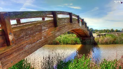 دانلود عکس پل چوبی زیبا با بهترین کیفیت و منظره ای قشنگ