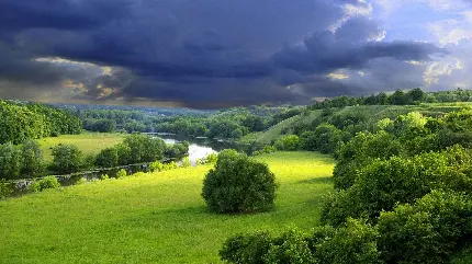 بک گراند حیرت آور hd از منظره درختان سبز انبوه تابستانی زیر آسمان ابری تاریک