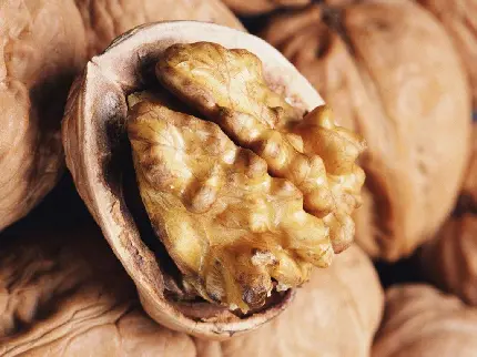 تصویر گردو walnut با بافت جالب برای تبلیغ پیج های خشکبار