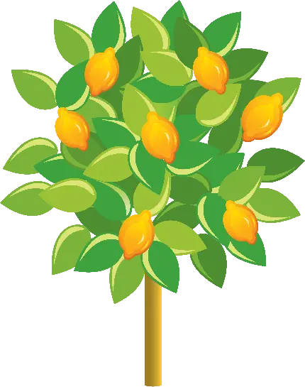 بکگراند شگفت انگیز و دیدنی از درخت کارتونی لیمو