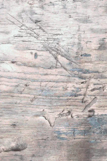 والپیپر بافت چوب قدیمی سفید خراشیده شده از نمای نزدیک