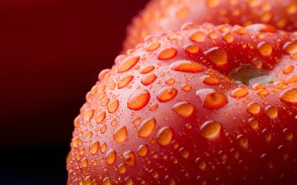تصویر شگفت انگیز و زیبا از سیب قرمز با با قطرهای آب روی آن 
