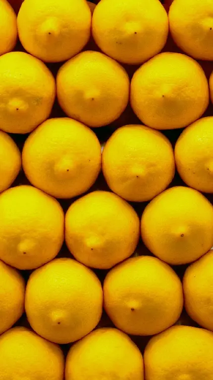 عکس لذت بخش و خیره کننده از  لیمو های با نظم چیده شده