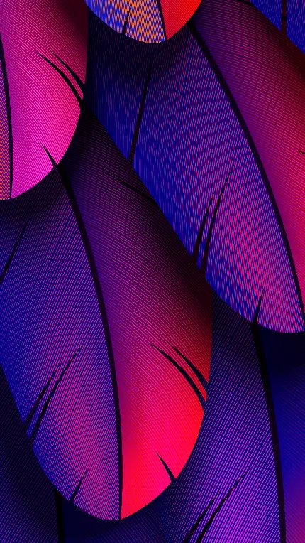 بک گراند دخترانه