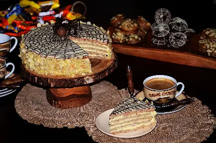 عکس زیبا از کیک یخچالی شکل تار عنکبوت به همراه قهوه 
