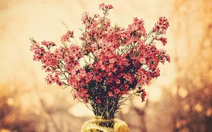 عکس گل های بهاری زیبا و خوشگل برای تصویر زمینه شاد