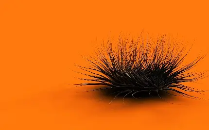 عکس مشکی نارنجی با ایده جالب جوجه تیغی برای زمینه کامپیوتر