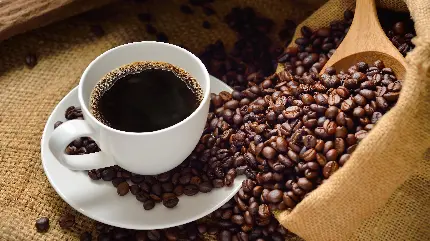 عکس فنجان قهوه و دانه های قهوه مخصوص بنر کافه ها و قهوه خانه ها