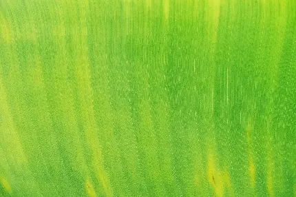 دانلود تکسچر و بافت سبز روشن پرکاربرد مخصوص فتوشاپ