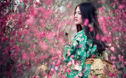 عکس دختر ژاپنی با لباس کیمونو در میان شکوفه های گیلاس صورتی