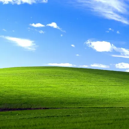 دانلود والپیپر دشت سر سبز و چمنزار ویندوز XP با کیفیت بالا