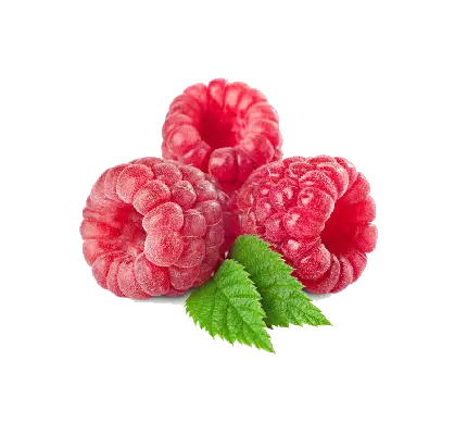 چاپ پوستر تصویر ساده و بدون ادیت png پی ان جی تمشک قرمز 