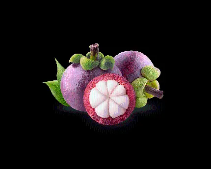 پردانلود ترین تصویر باکیفیت رایگان و واقعی از میوه ترگیل 