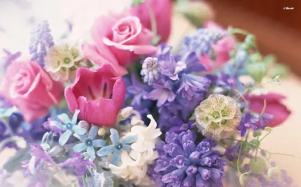 بک گراند از گل های مختلف خوشگل مخصوص تصویر زمینه ویندوز 12