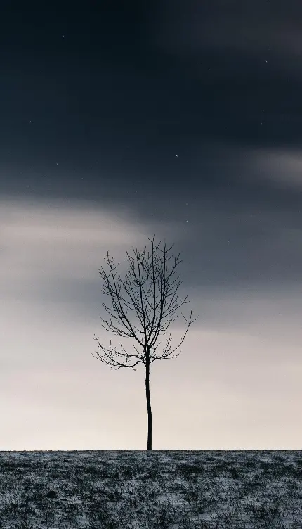  والپیپر زیبا از درخت تنها در وسط بیابان با آسمان خشمگین 