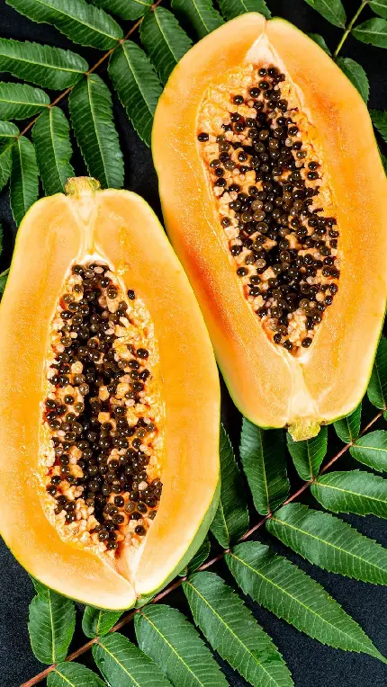 عکس های میوه پاپایا یا خربزه درختی Papaya با کیفیت بالا