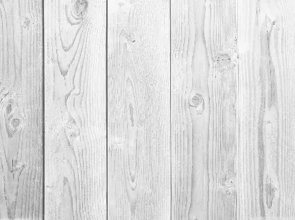 عکس پرکاربرد بافت چوب سفید مورد استفاده در معماری و گرافیک 