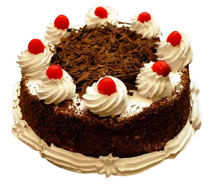 png ساده کیک شکلاتی با تزئینات خامه و میوه برای فتوشاپ