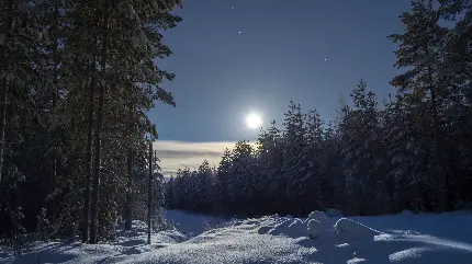 دانلود عکس فوق العاده قشنگ از شب زیبا با ماه قشنگ 