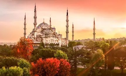 عکس ترکیه از مسجد آبی در میان درخشش درختان رنگارنگ در غروب