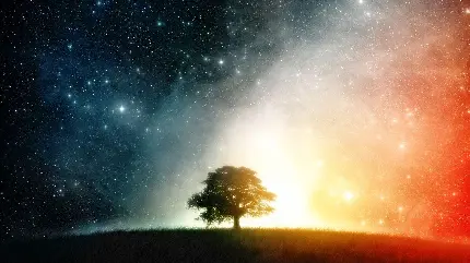 تصویر درخت زندگی در زمینه ی رنگارنگ شب پر ستاره رویایی