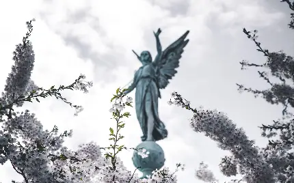 دانلود عکس ساده و رایگان مجسمه سنگی فرشته بال دار فول اچ دی 