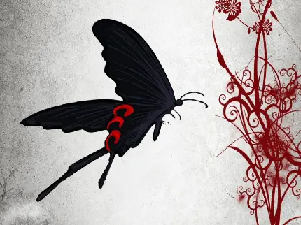 والپیپر شگفت انگیز و زیبا از پروانه سیاه با طرح های زیبا قرمز کنار آن