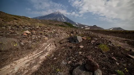 عکس جاده شمال تو ماشین