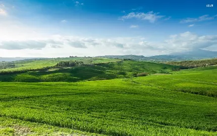 عکس چمن برای فتوشاپ