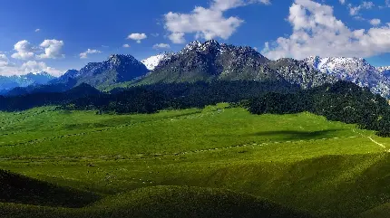 ساده ترین و جذاب ترین عکس زمینه طبیعت باطراوت به همراه کوه