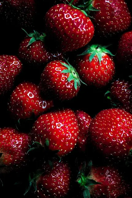 عکس فانتزی و خاص توت فرنگی مکمل طیف وسیعی از میوه ها