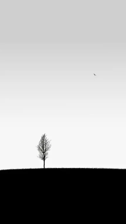 تصویر زمینه سفید مشکی تک درخت خشکیده و پرواز پرنده در آسمان