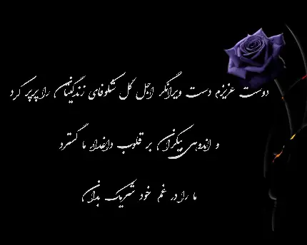 عکس پیام تسلیت به دوست عزیز با زمینه مشکی همراه گل بنفش