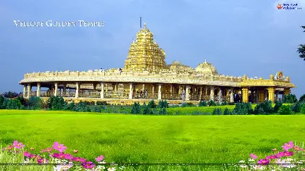 عکس پروفایل زیبای معبد بزرگ در دشت های سرسبز هندوستان